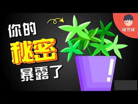 植物與人的關係|人與植物的關係